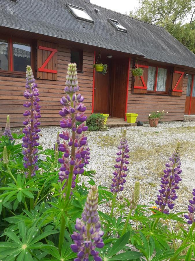 Chez Christine Bed & Breakfast Noyal-Pontivy ภายนอก รูปภาพ